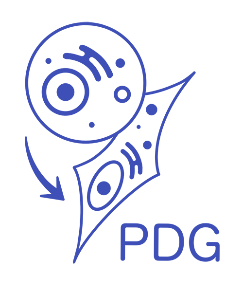 PDG